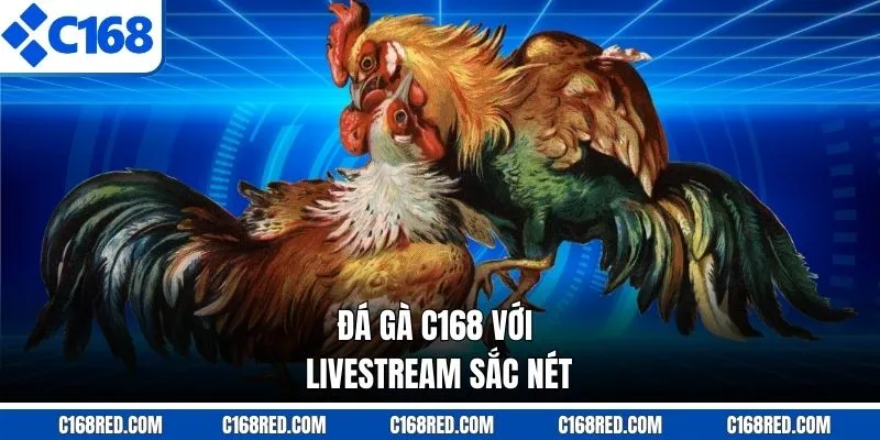 Đá gà C168 với livestream sắc nét